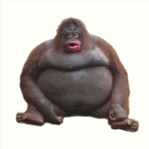 Meet your Posher, Adrian